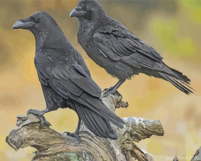 Ravens Birds Painting By Numbers Kits