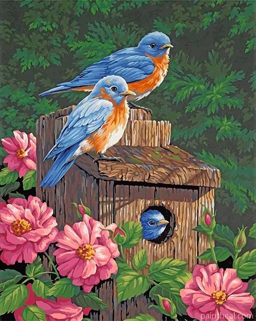 Garden Bluebirds Painting By Numbers Kits