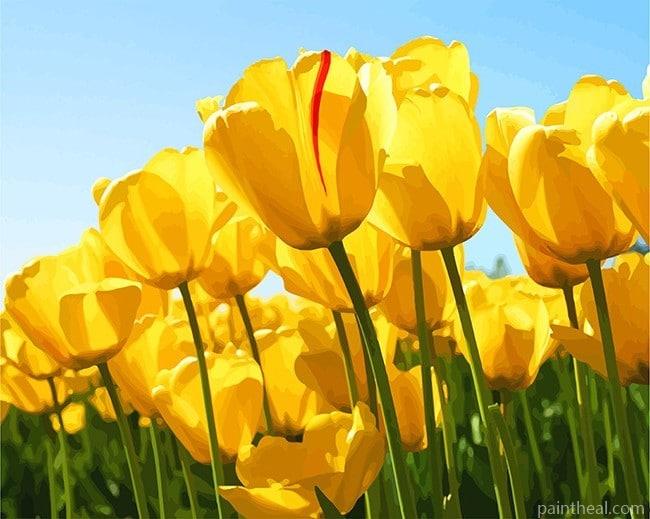 Yellow Tulip Flower NEW Painting By Numbers Kits