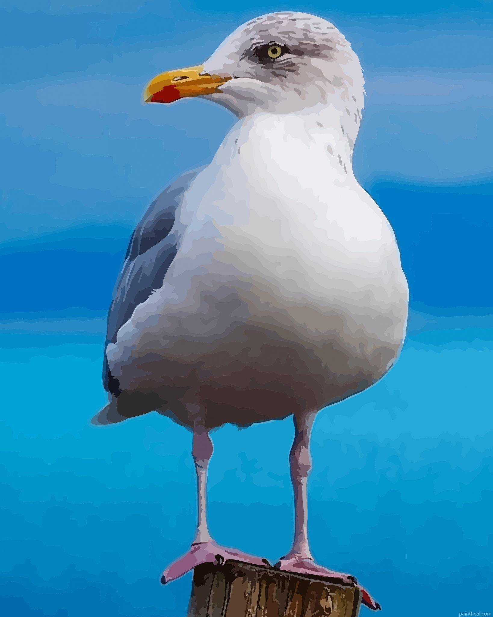 Aestehtic Seagull Bird Painting By Numbers Kits