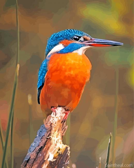 Kingfisher Bird Animal Painting By Numbers Kits