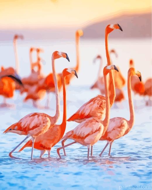 Flamingos Birds By Sea Painting By Numbers Kits