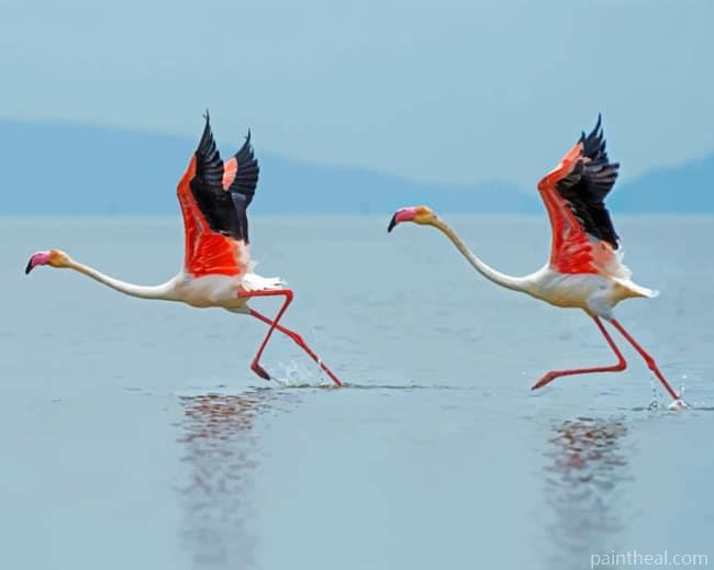 White And Pink Flamingos Painting By Numbers Kits