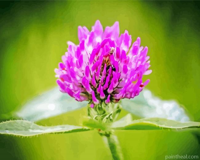 Clover Flower Painting By Numbers Kits