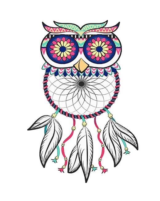 Dream Catcher Owl Painting By Numbers Kits