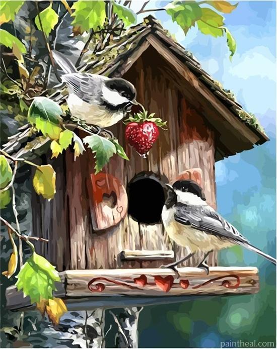 Garden Birds House Painting By Numbers Kits