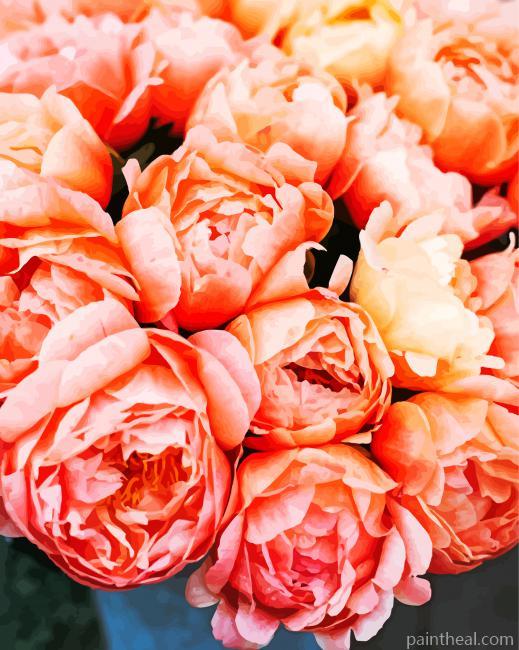 Peach Flowers Painting By Numbers Kits