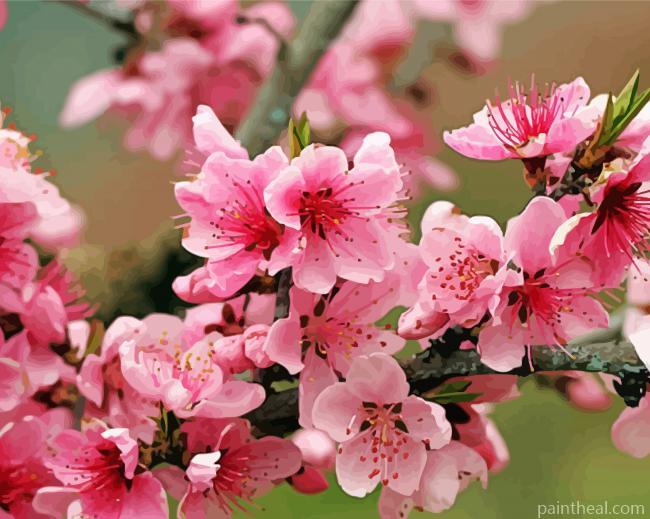 Pink Apple Blossom Painting By Numbers Kits