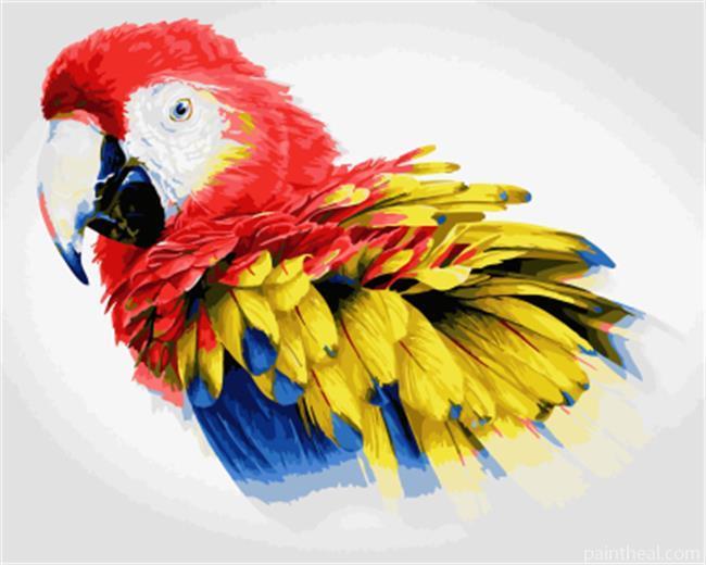 Parrot Macaw Painting By Numbers Kits