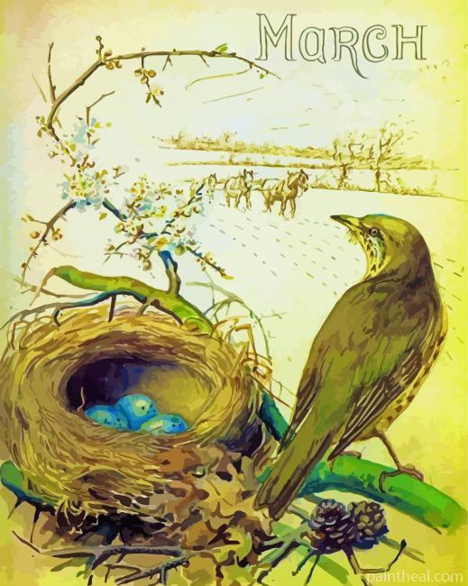 March Bird By Edith Holden Painting By Numbers Kits