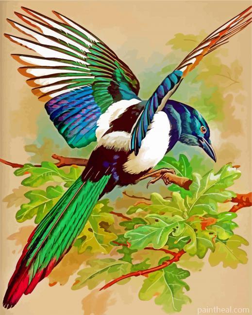 Magpie Bird Painting By Numbers Kits