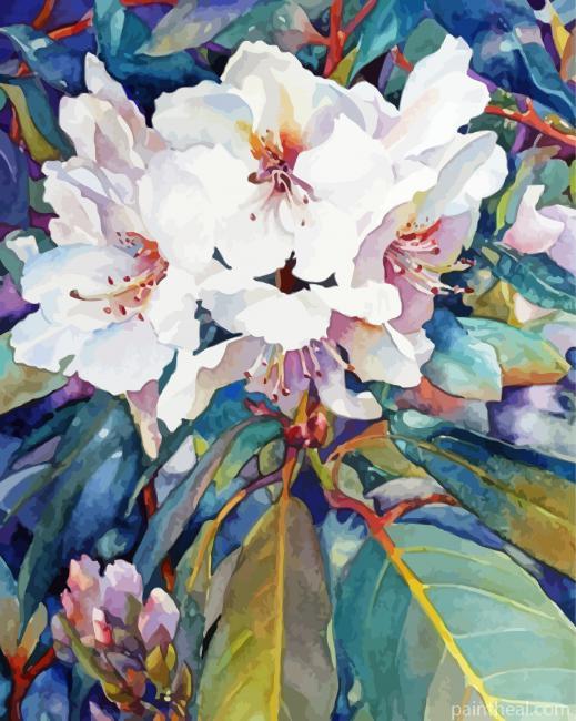Rododendro Flowers Painting By Numbers Kits