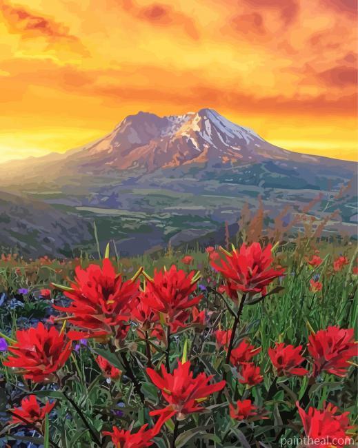 Mt St Helens With Red Poppies Painting By Numbers Kits