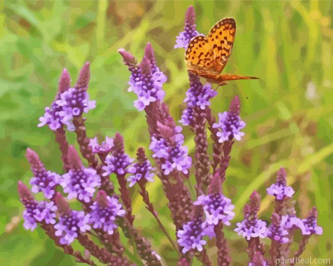 Vervain Purple Flowers Painting By Numbers Kits