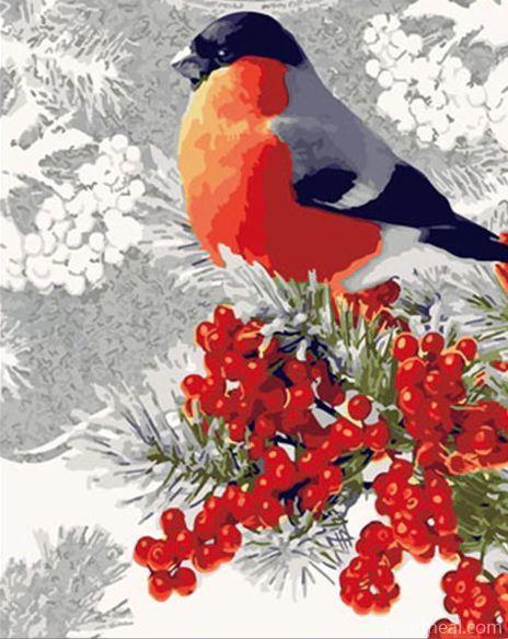 Eurasian Bullfinch Bird Painting By Numbers Kits