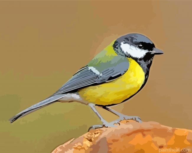 Black And Yellow Parus Painting By Numbers Kits