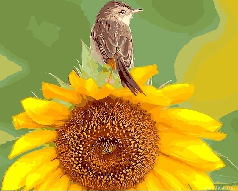 Sunflower And Bird Painting By Numbers Kits