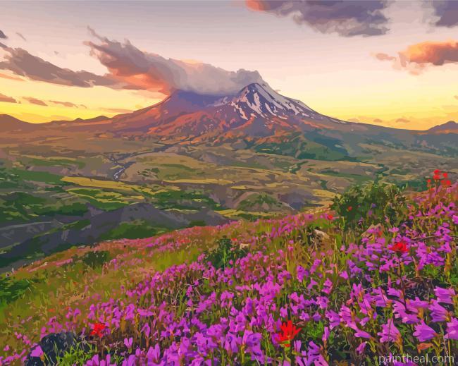 Purple Flowers Mt St Helens Painting By Numbers Kits