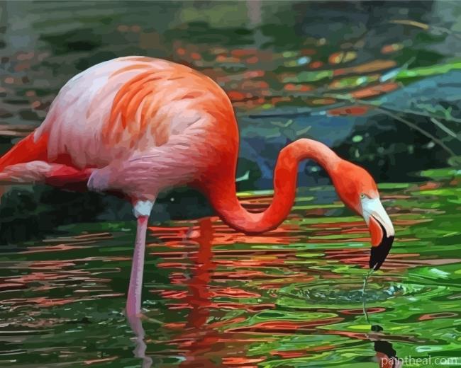 Flamingo Drinking Water Painting By Numbers Kits