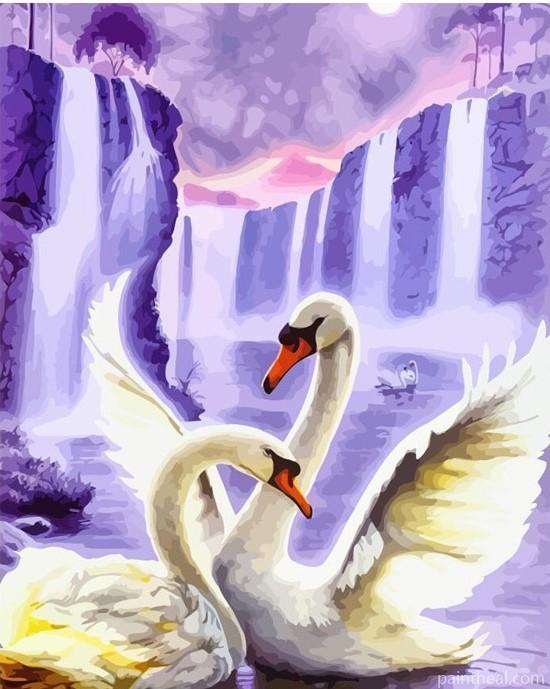Swan Couple Painting By Numbers Kits