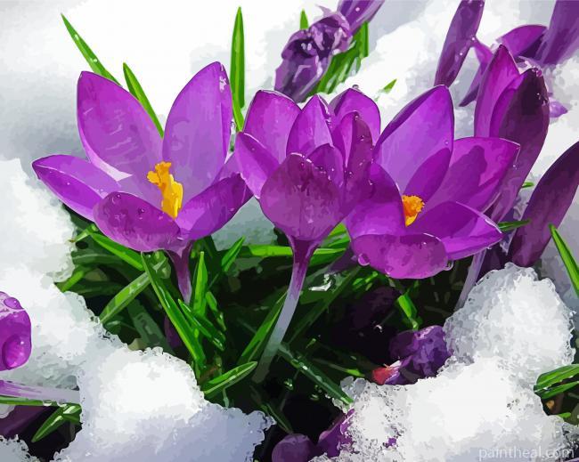 Spring Flower In Snow Painting By Numbers Kits