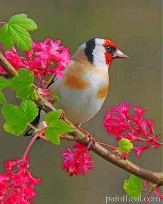 Aesthetic Goldfinch Bird Painting By Numbers Kits