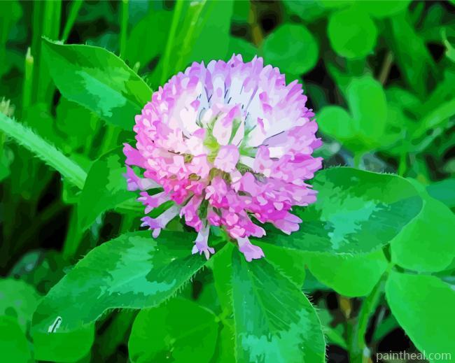 Clover Blossom Painting By Numbers Kits