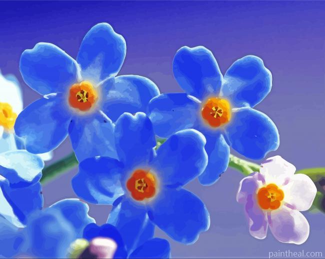 Beautiful Forget Me Nots Flowers Painting By Numbers Kits
