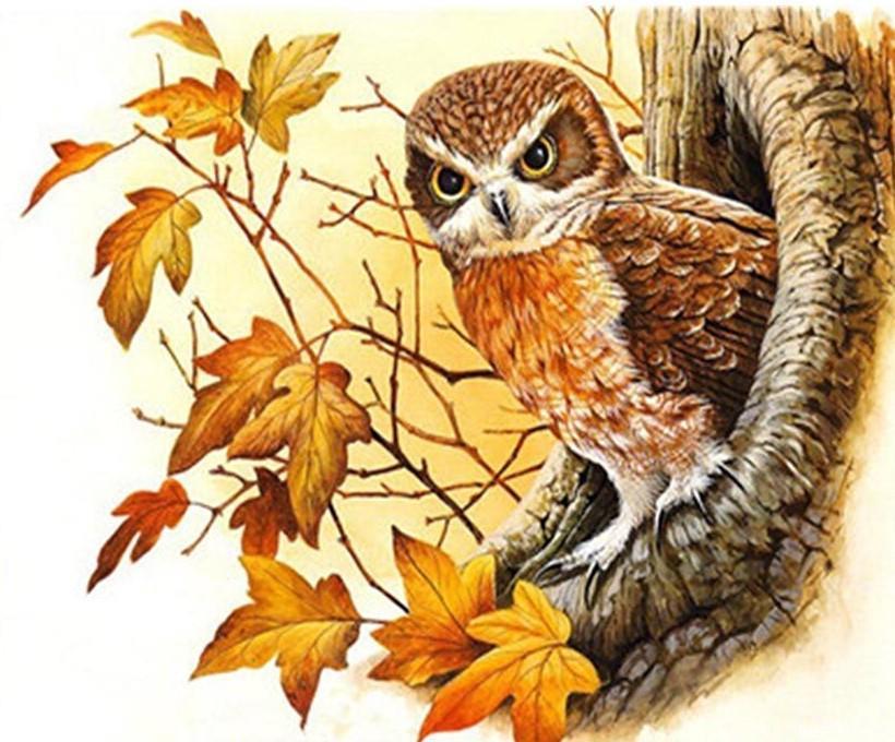 Owl Stands In A Tree Hole Painting By Numbers Kits