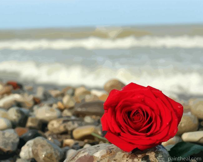 Red Roses And Beach Painting By Numbers Kits