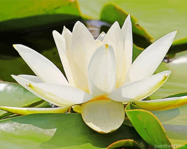 White Tiger Lotus Painting By Numbers Kits