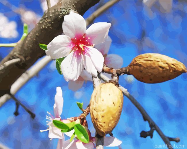 Almond Blossom Flower Painting By Numbers Kits