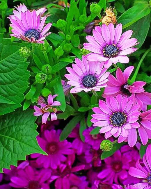 Purple Flowers NEW Painting By Numbers Kits