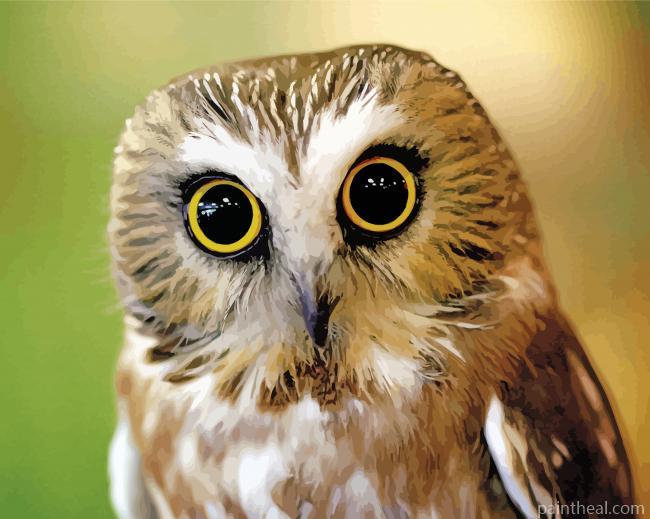 Big Eyed Bird Painting By Numbers Kits