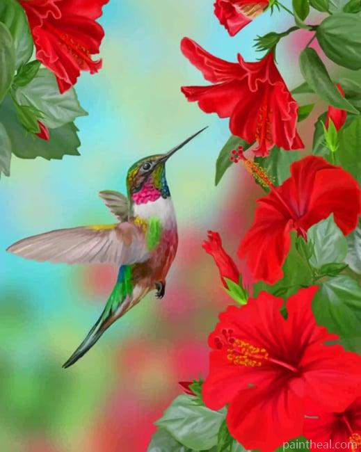 Hummingbird And Flowers NEW Painting By Numbers Kits