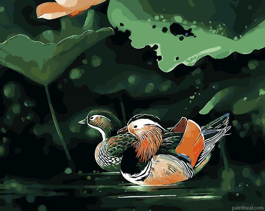 Swimming mandarin duck Painting By Numbers Kits