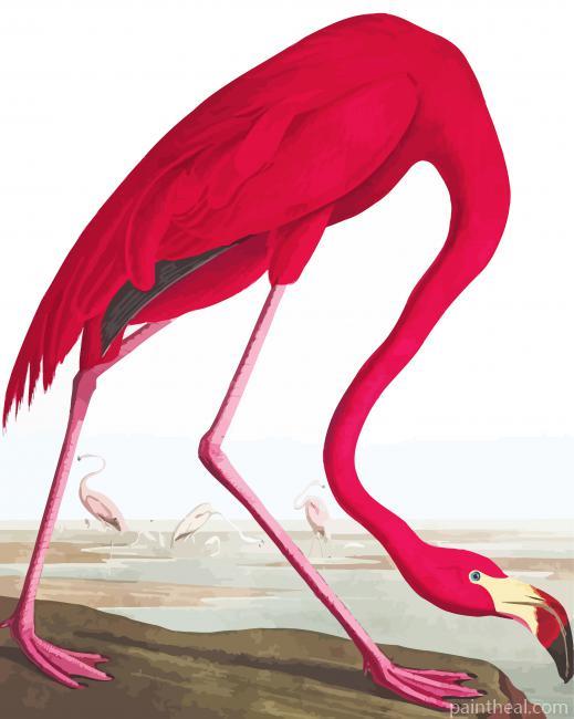 Pink Vintage Flamingo Painting By Numbers Kits