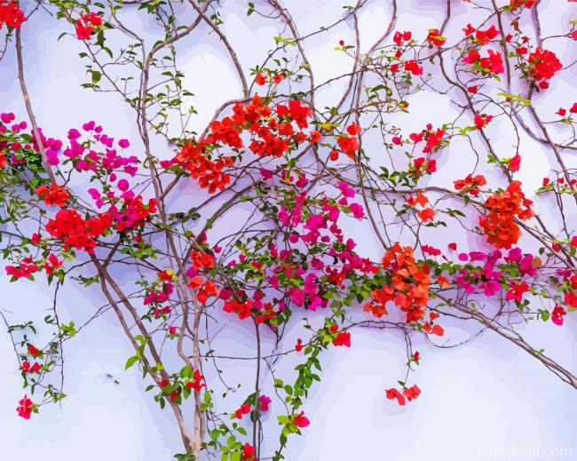 Red Wall Flowers -Paint By Numbers Painting By Numbers Kits