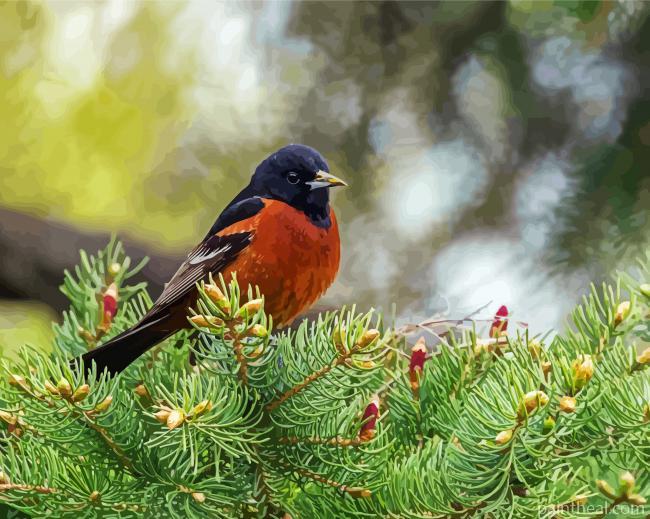 Aesthetic Orchard Oriole Painting By Numbers Kits