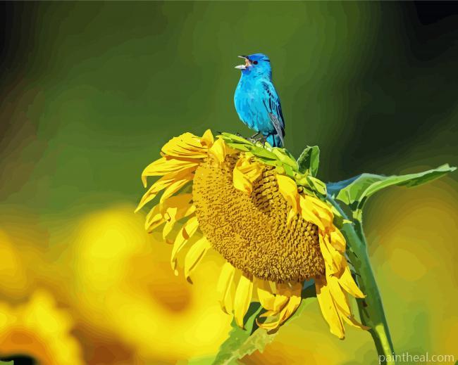 Sunflower And Blue Bird Painting By Numbers Kits
