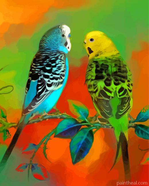 Budgies Art Painting By Numbers Kits