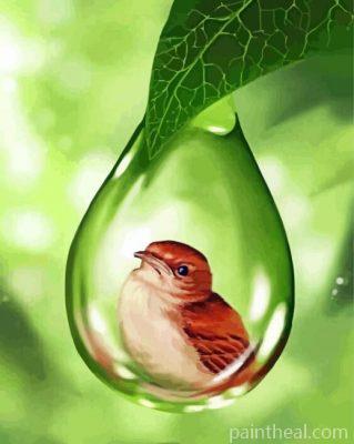 Bird In Water Bubble Painting By Numbers Kits