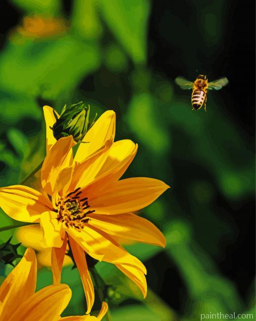 Yellow Flowers And Bee Painting By Numbers Kits