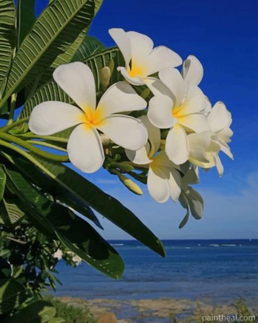 Costal Garden Flowers In Kenya NEW Painting By Numbers Kits