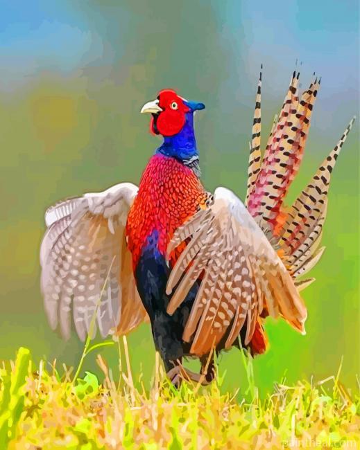 Beautiful Pheasant Painting By Numbers Kits