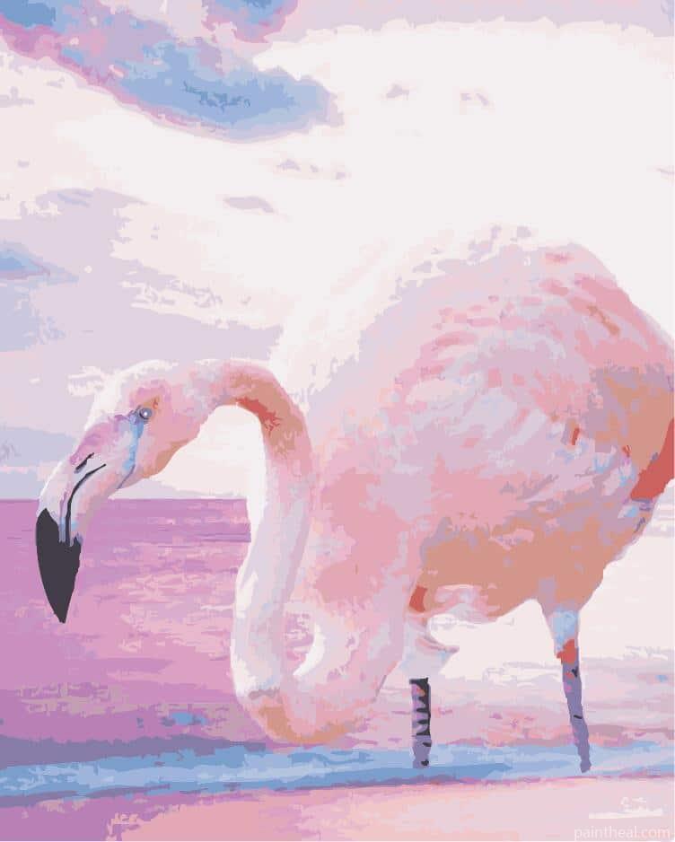 Greater Flamingo Painting By Numbers Kits