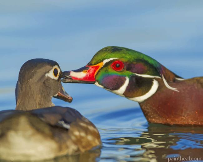 Wood Ducks Painting By Numbers Kits