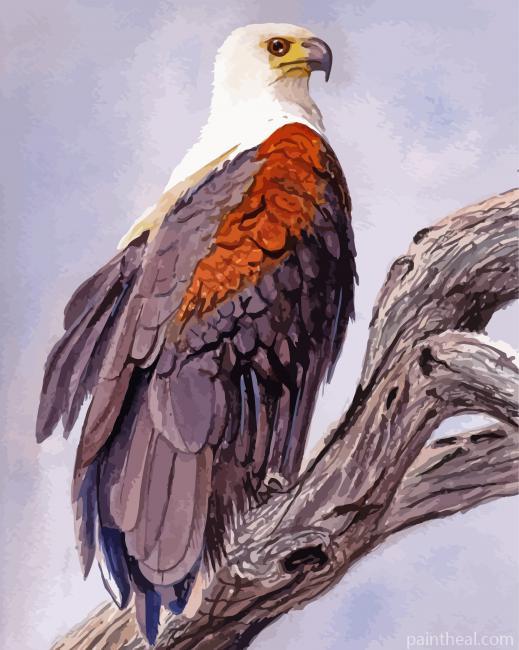 Aesthetic African Fish Eagle Painting By Numbers Kits
