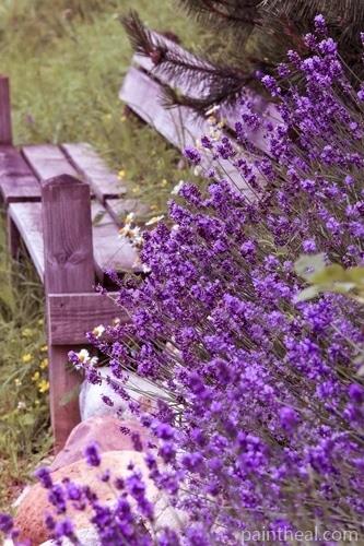 Purple Flower Next to The Chair Flowers Painting By Numbers Kits