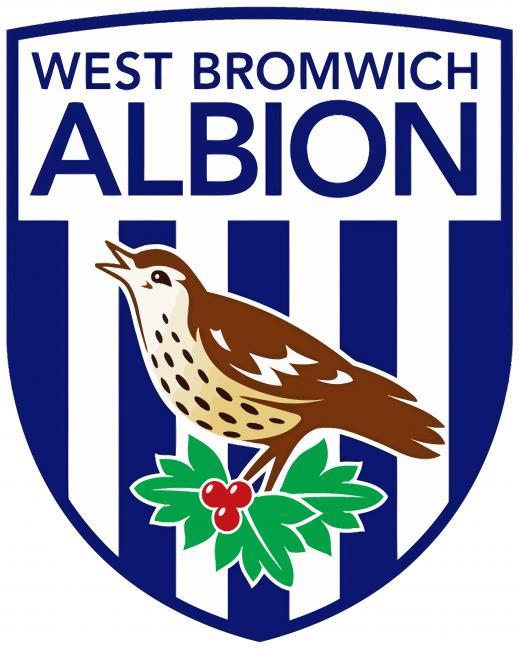 West Bromwich Albion Painting By Numbers Kits